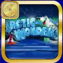 ARCTIC WONDERS